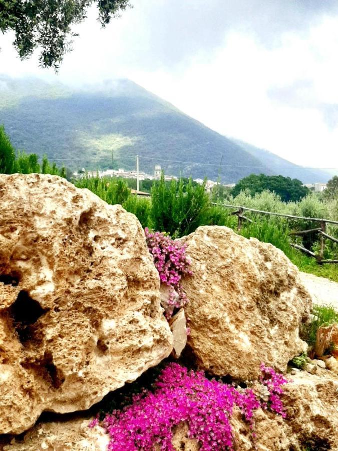 קאפאצ'יו-פאסטום B&B Villa Giulia מראה חיצוני תמונה