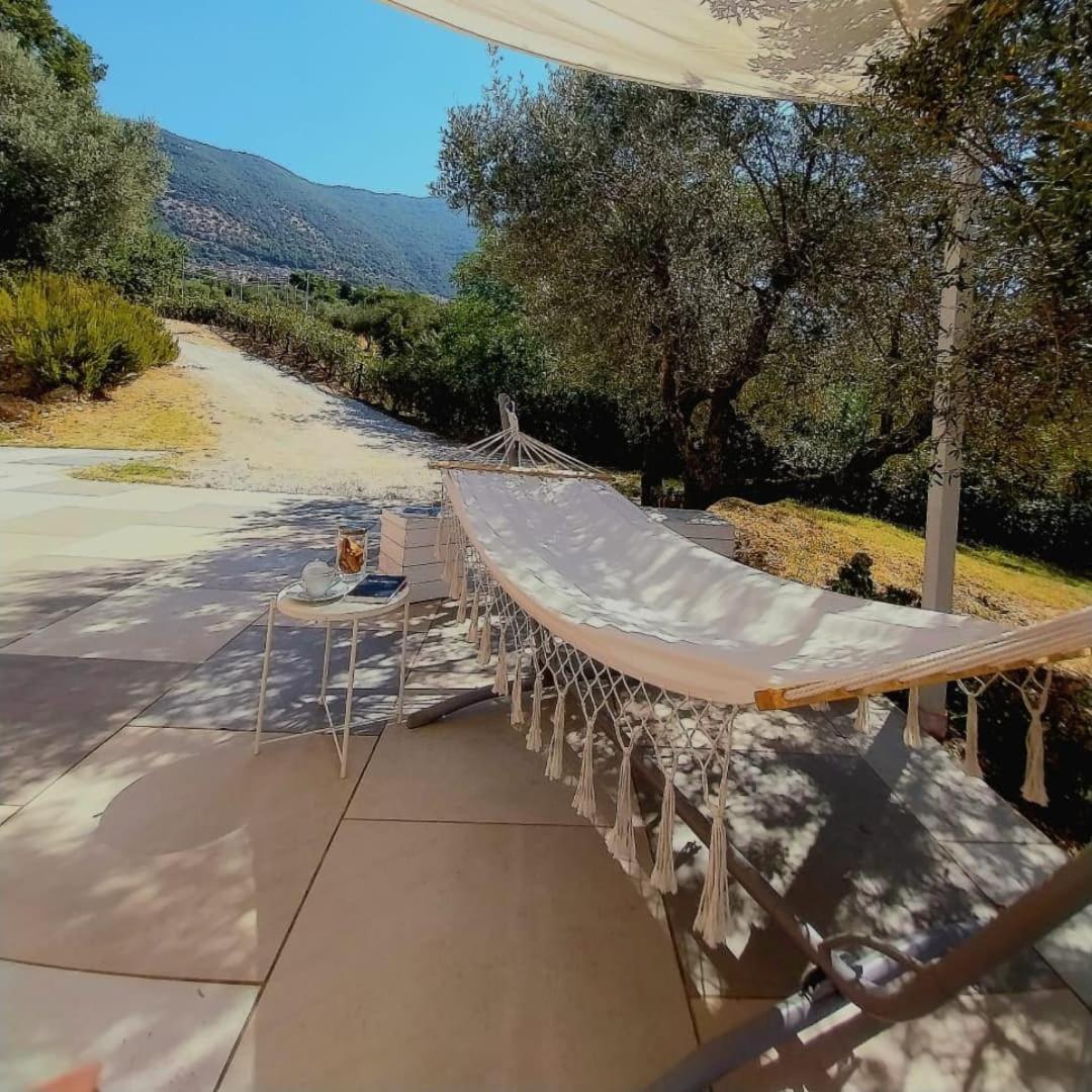 קאפאצ'יו-פאסטום B&B Villa Giulia מראה חיצוני תמונה