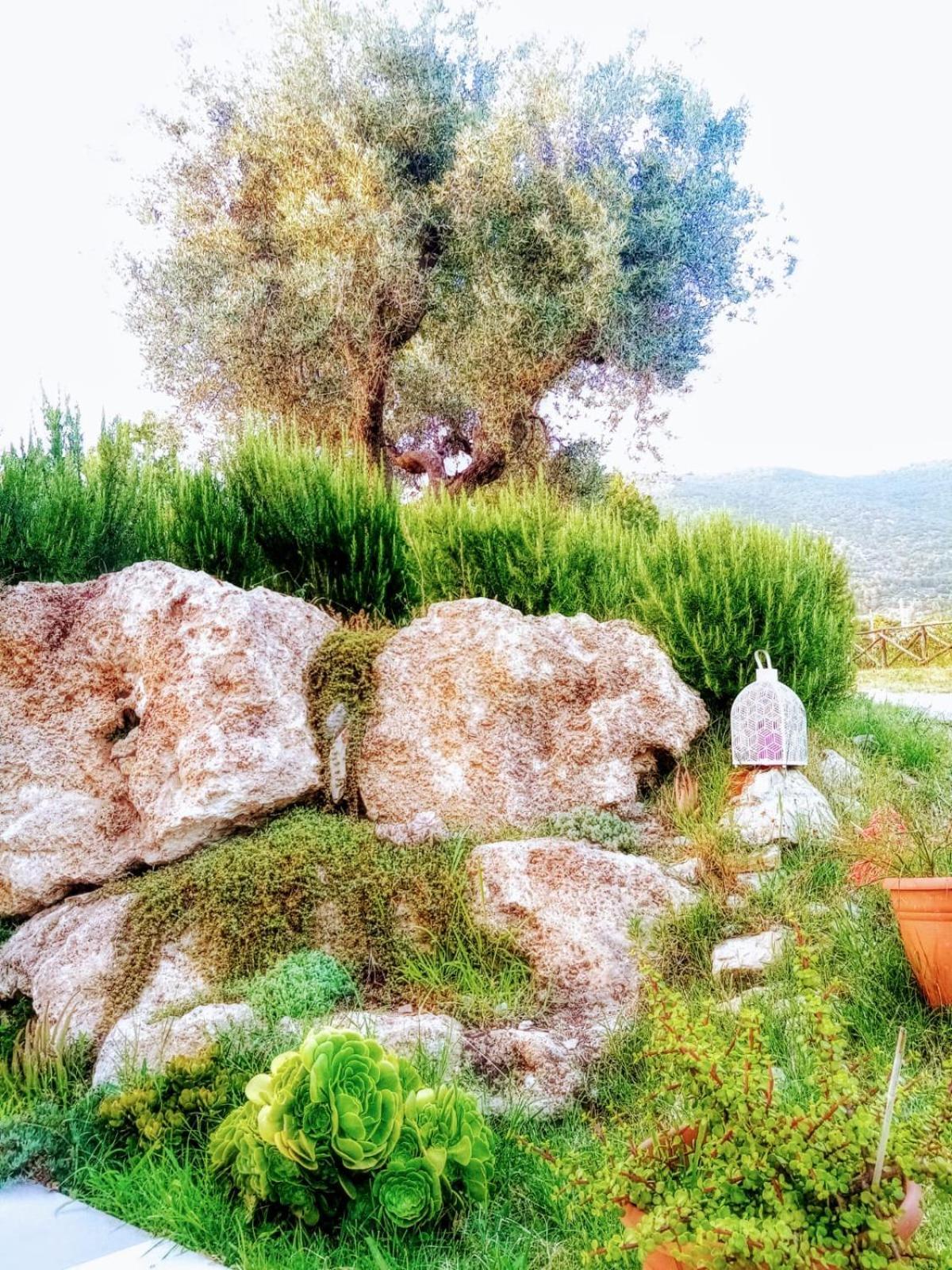 קאפאצ'יו-פאסטום B&B Villa Giulia מראה חיצוני תמונה